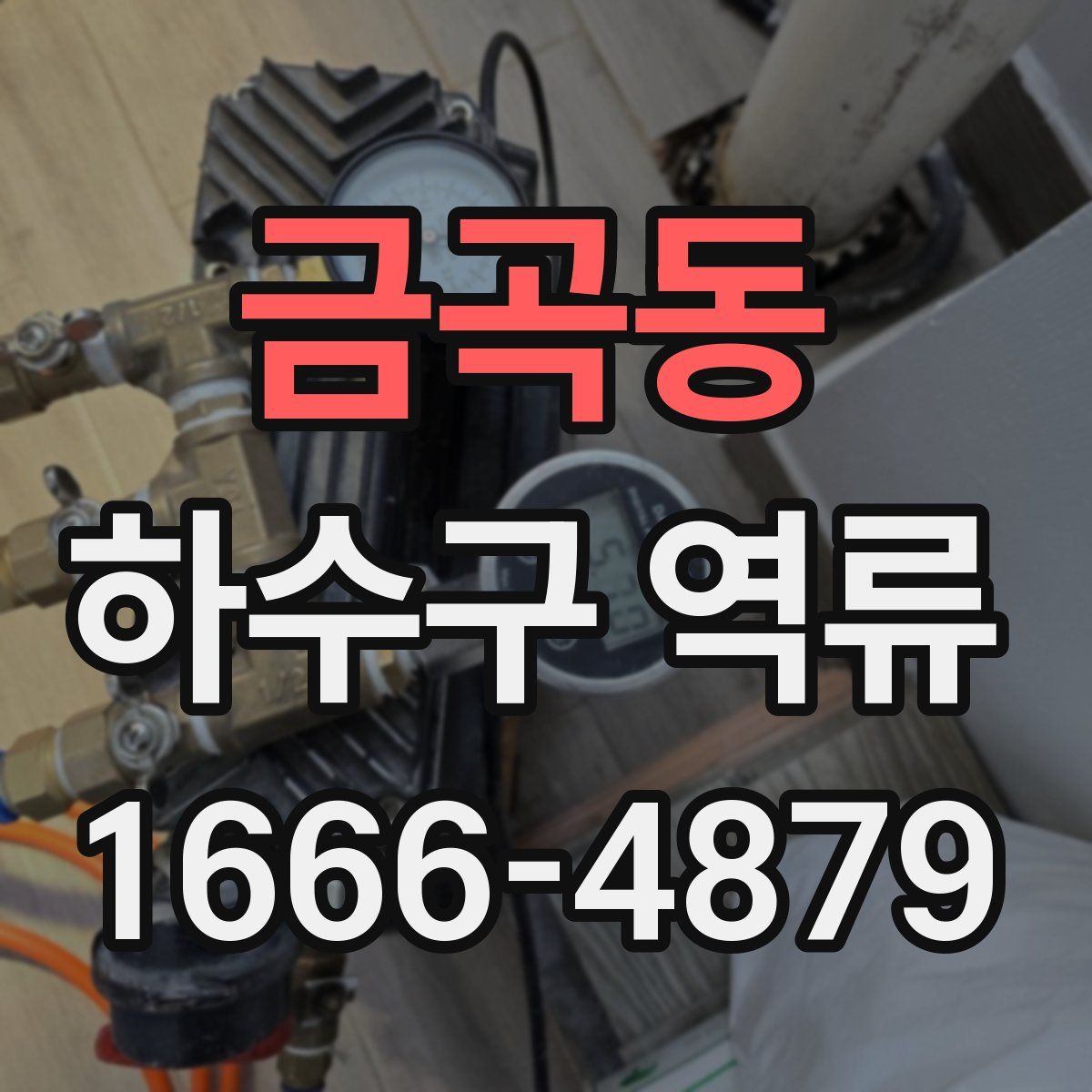 금곡동 하수구 역류
