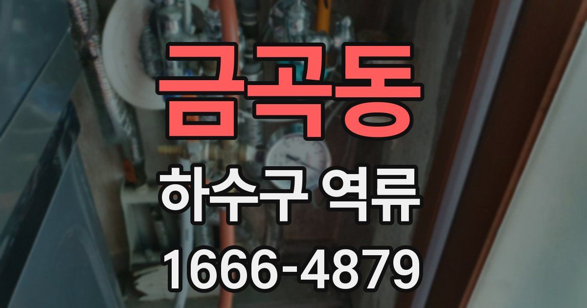 금곡동 하수구 역류