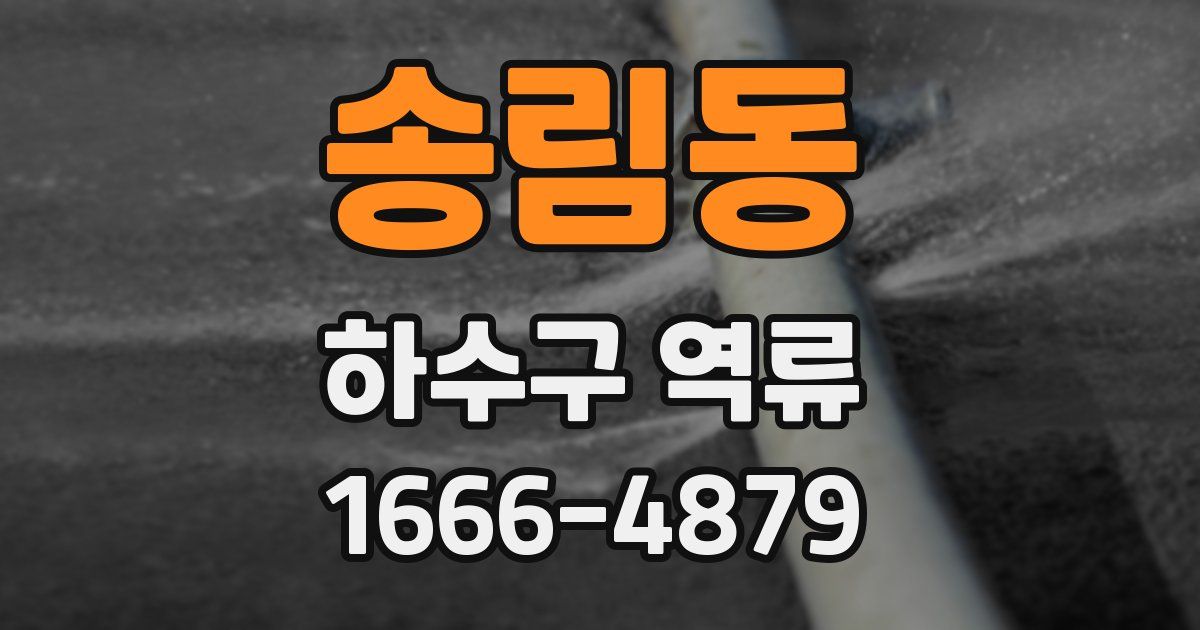 송림동 하수구 역류