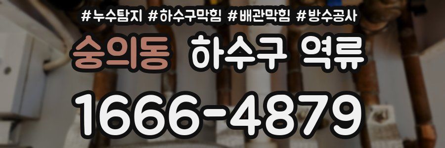 숭의동 하수구 역류