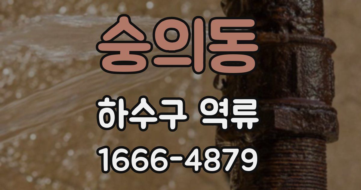 숭의동 하수구 역류