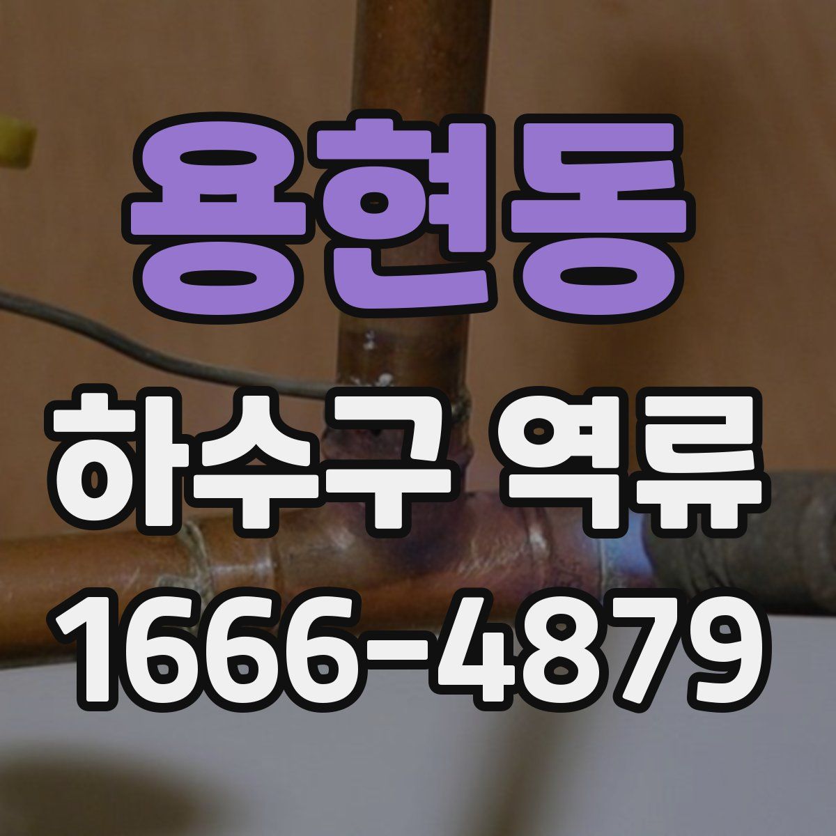 용현동 하수구 역류