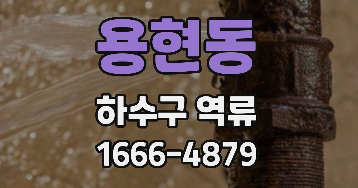 용현동 하수구 역류