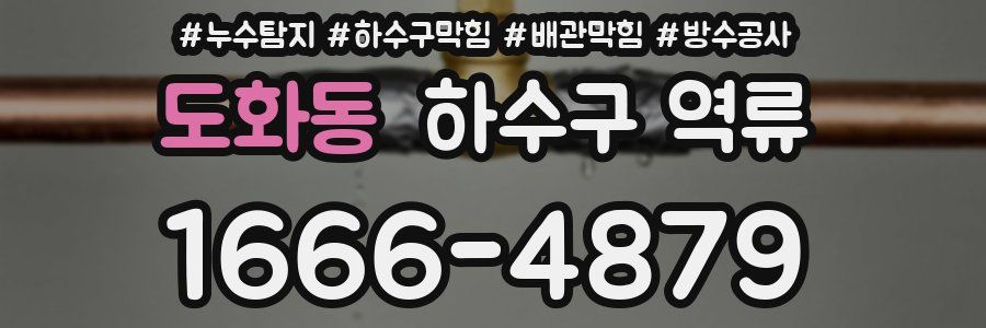도화동 하수구 역류