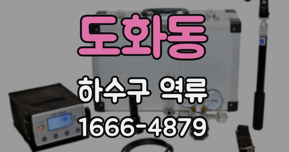도화동 하수구 역류