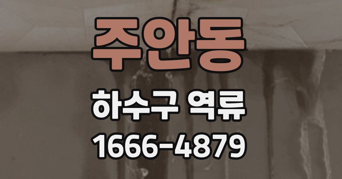 주안동 하수구 역류