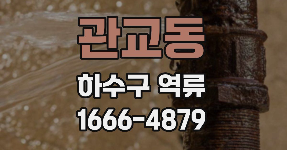 관교동 하수구 역류