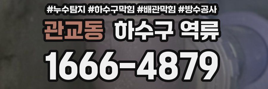 관교동 하수구 역류