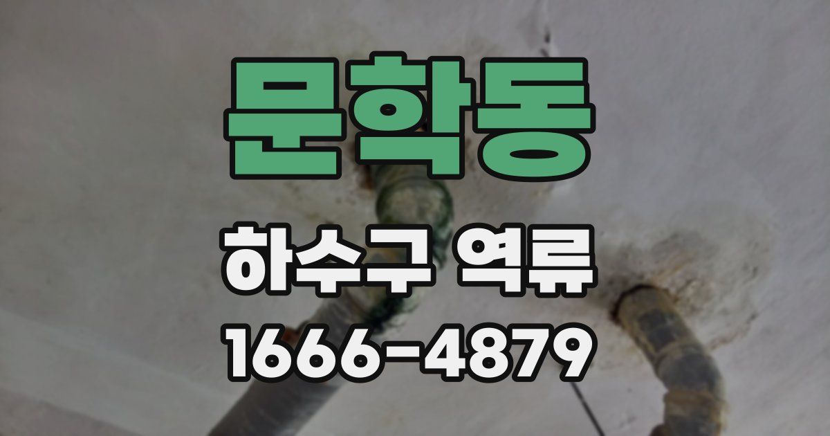 문학동 하수구 역류