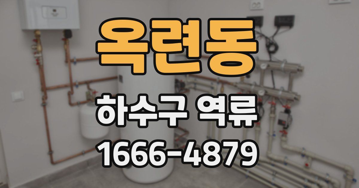 옥련동 하수구 역류