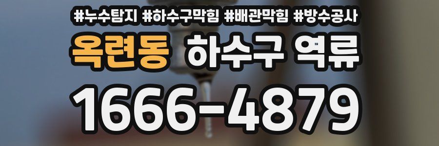 옥련동 하수구 역류