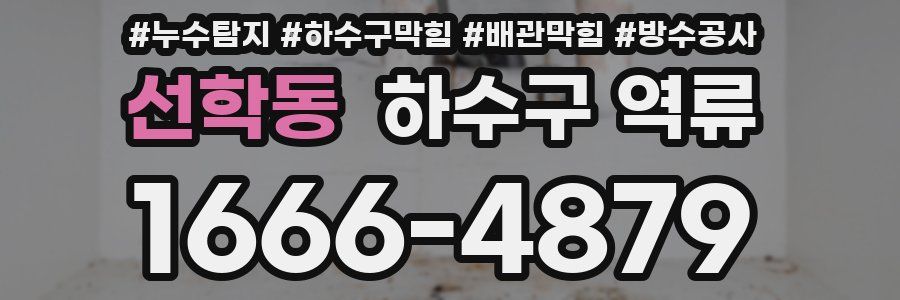 선학동 하수구 역류