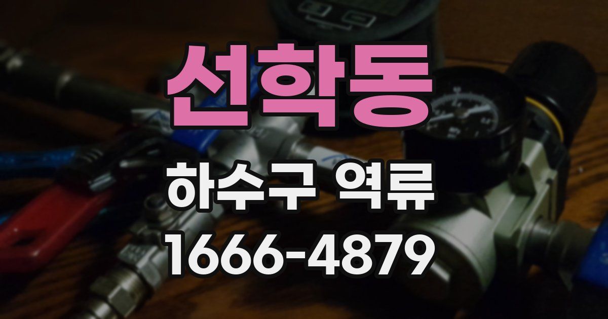 선학동 하수구 역류