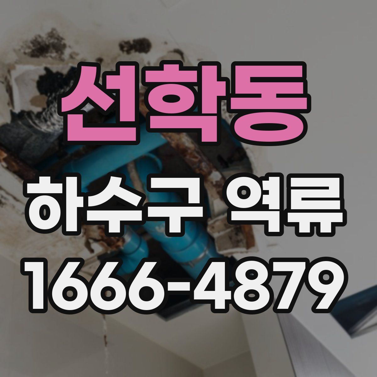 선학동 하수구 역류