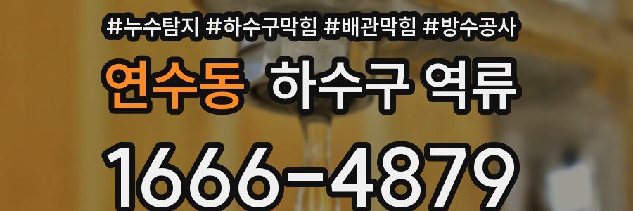 연수동 하수구 역류