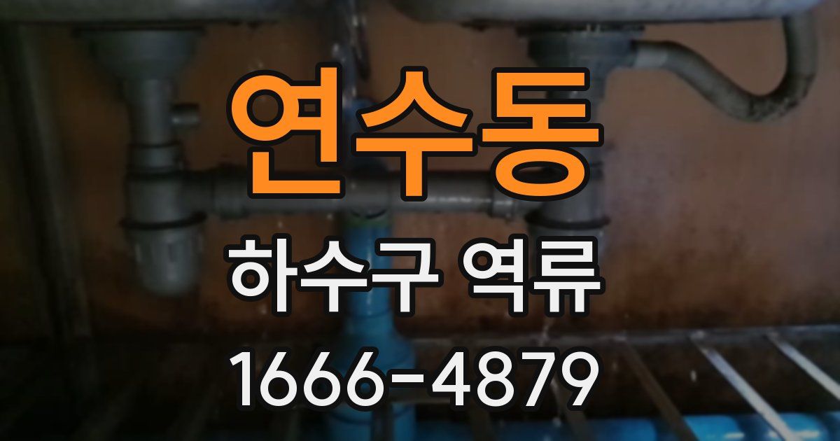 연수동 하수구 역류
