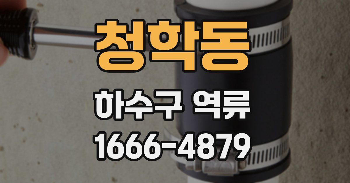 청학동 하수구 역류