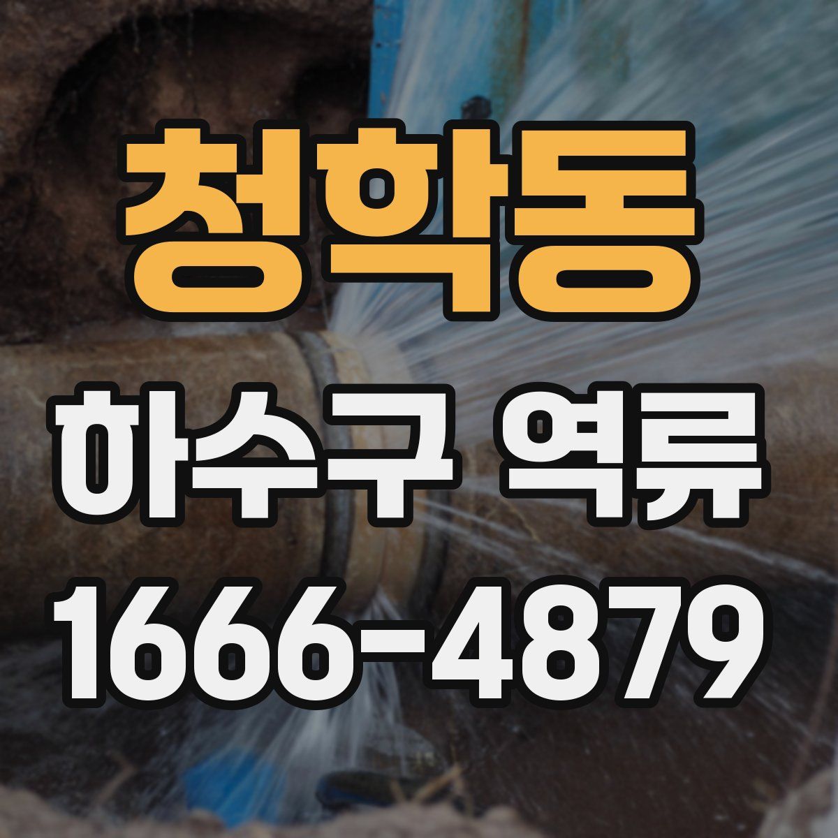 청학동 하수구 역류