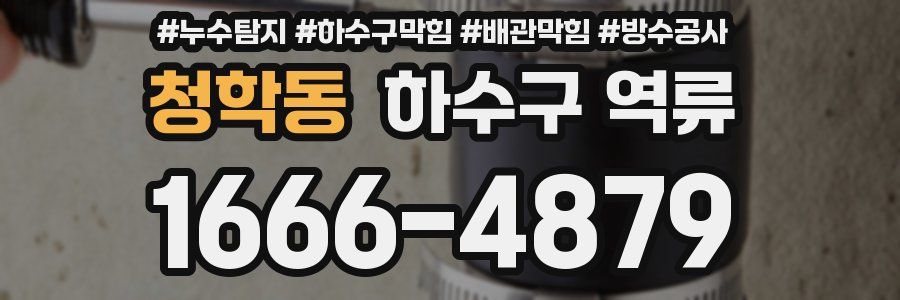 청학동 하수구 역류