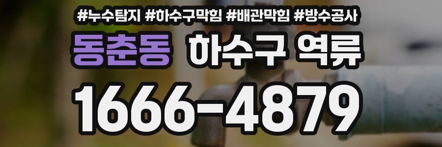 동춘동 하수구 역류