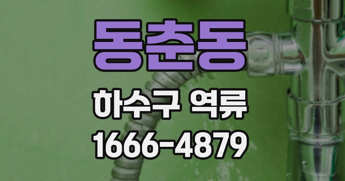 동춘동 하수구 역류