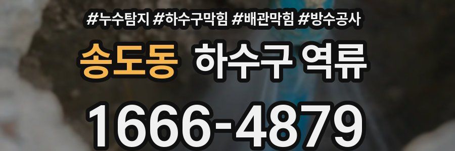 송도동 하수구 역류