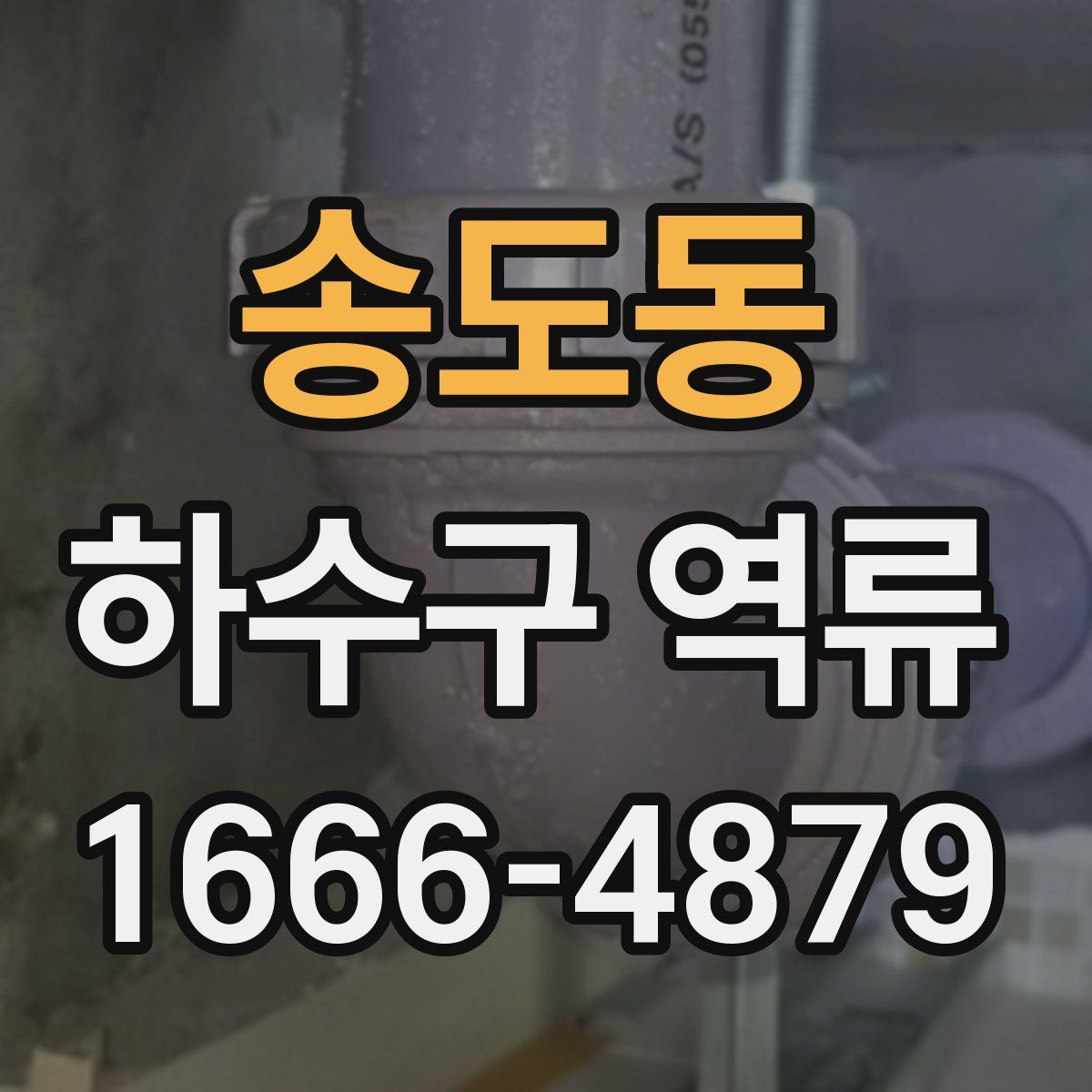 송도동 하수구 역류