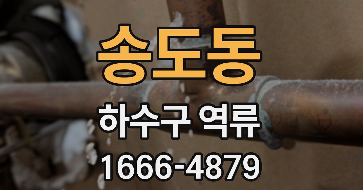 송도동 하수구 역류