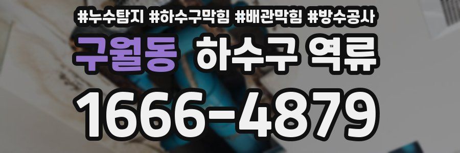 구월동 하수구 역류