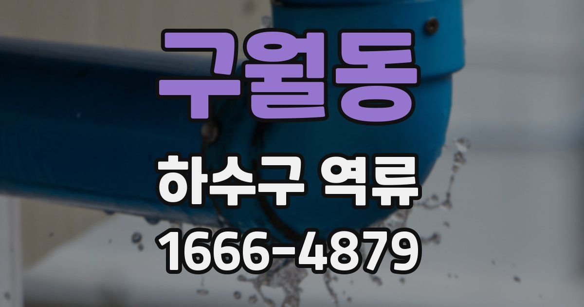 구월동 하수구 역류