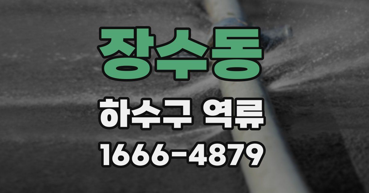 장수동 하수구 역류