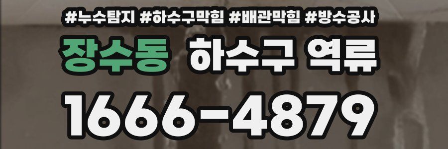 장수동 하수구 역류