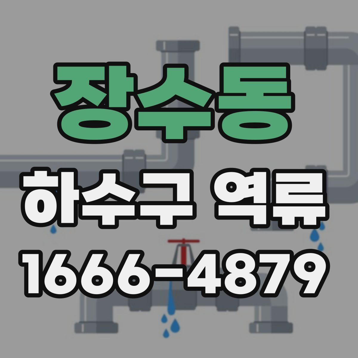 장수동 하수구 역류