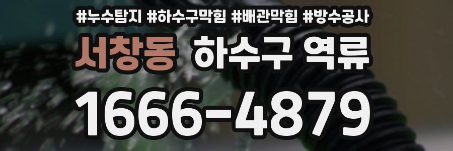 서창동 하수구 역류