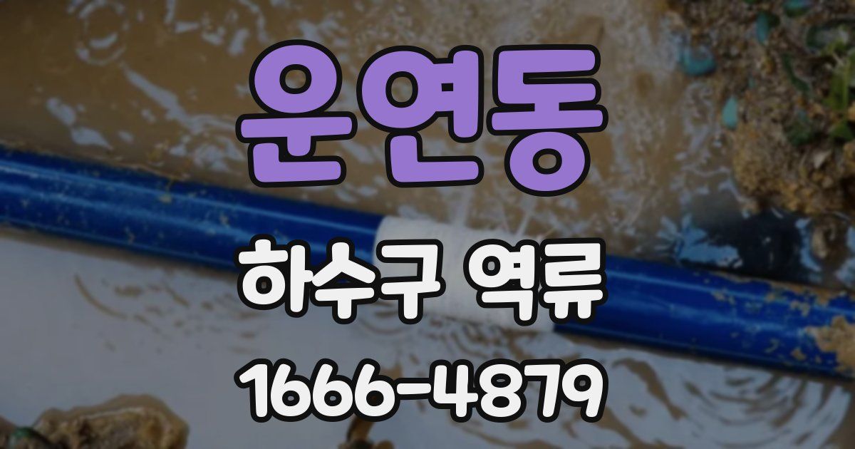 운연동 하수구 역류