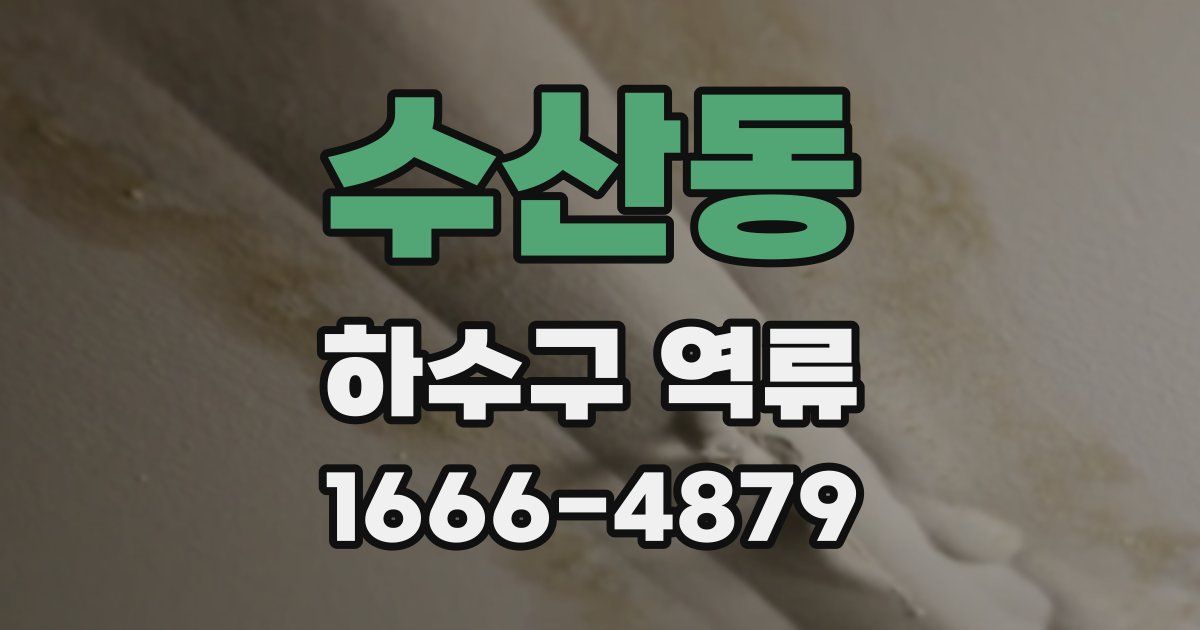 수산동 하수구 역류