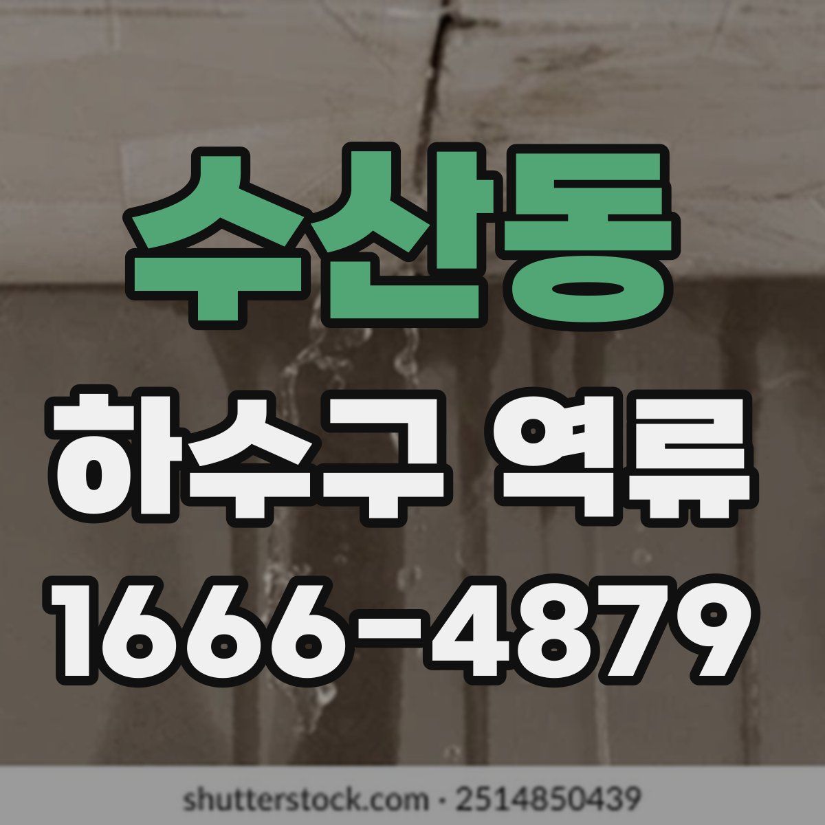 수산동 하수구 역류