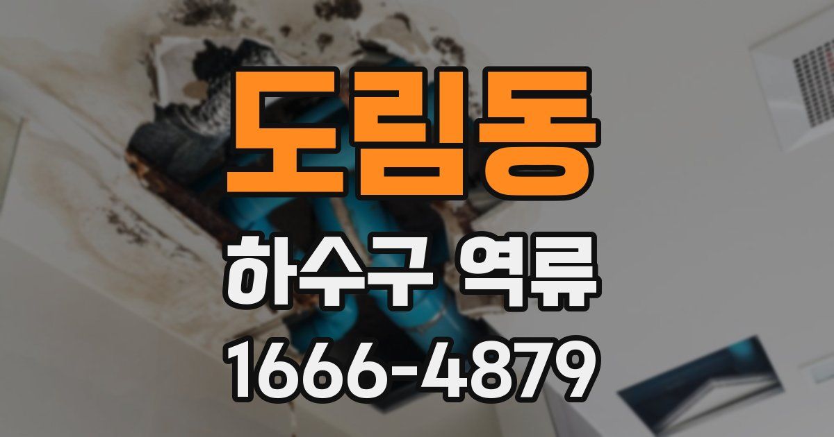 도림동 하수구 역류