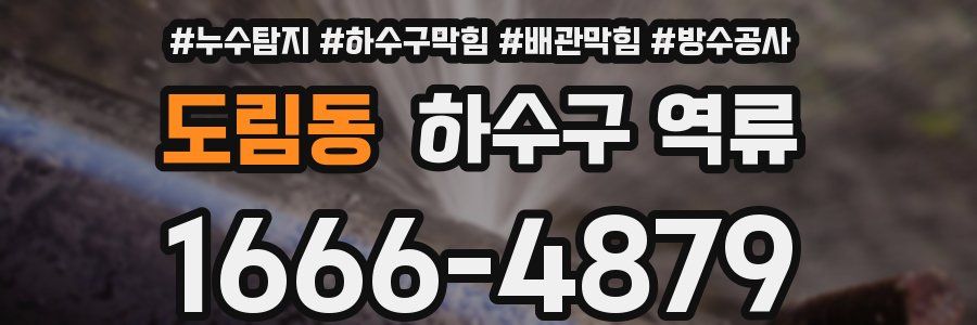 도림동 하수구 역류