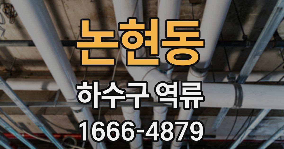 논현동 하수구 역류