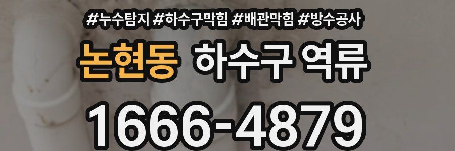 논현동 하수구 역류