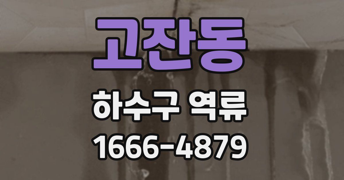 고잔동 하수구 역류