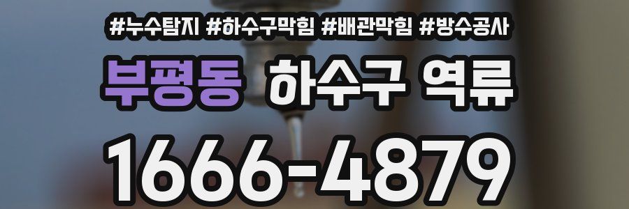 부평동 하수구 역류