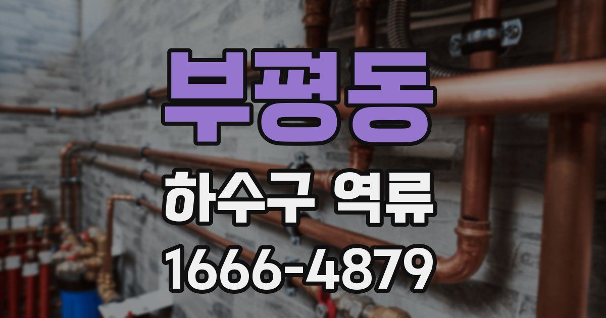 부평동 하수구 역류