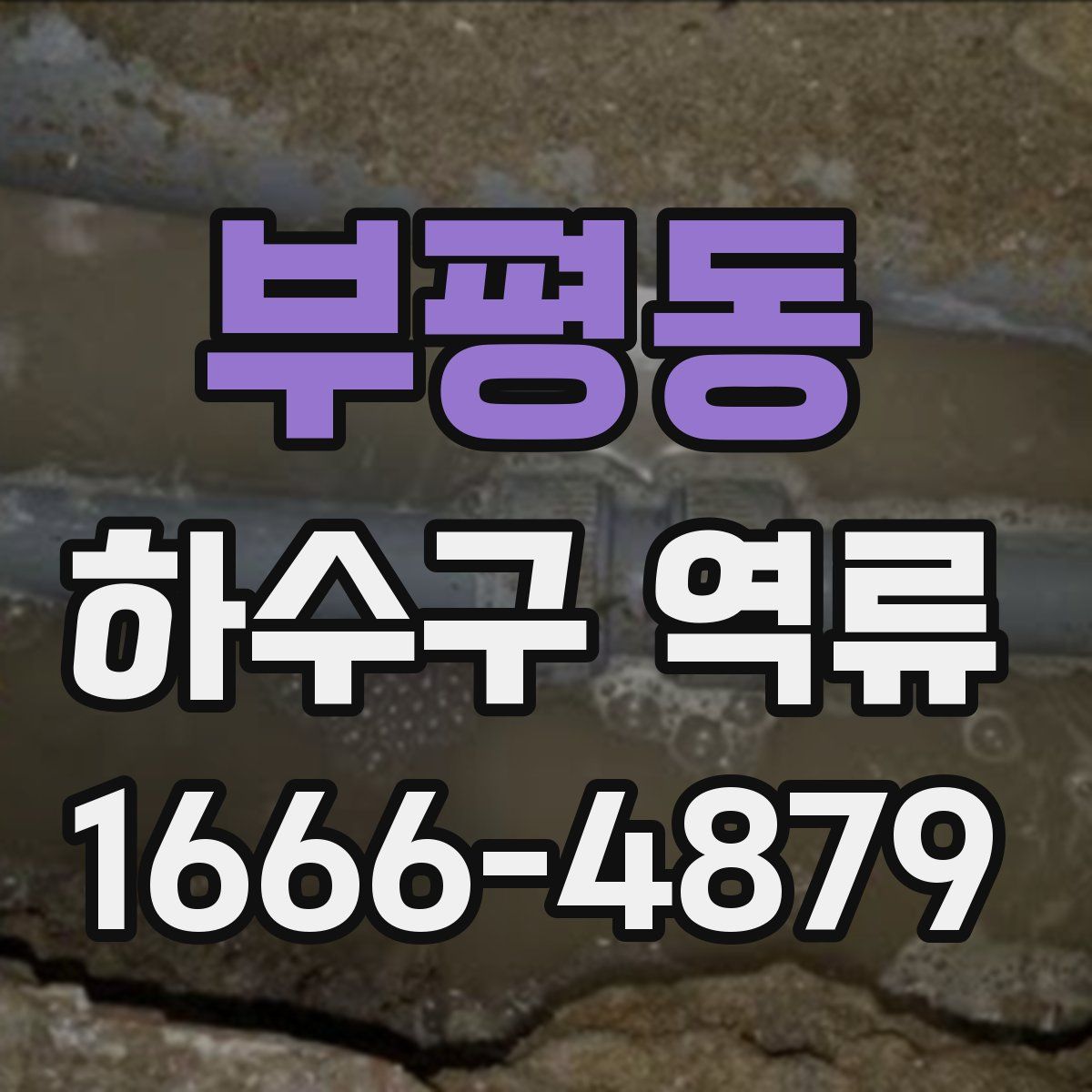 부평동 하수구 역류