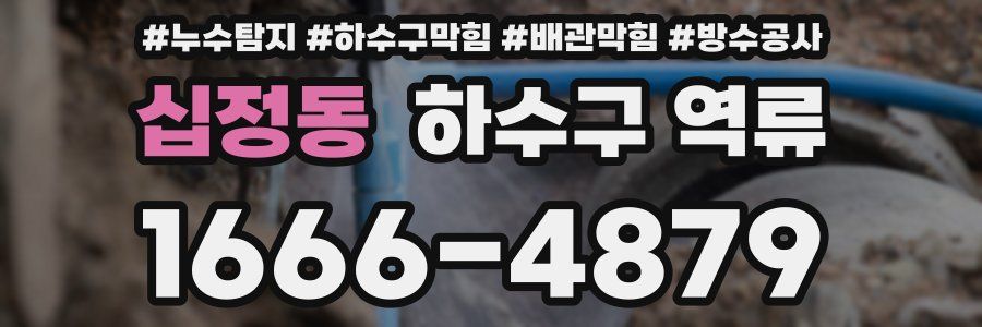 십정동 하수구 역류
