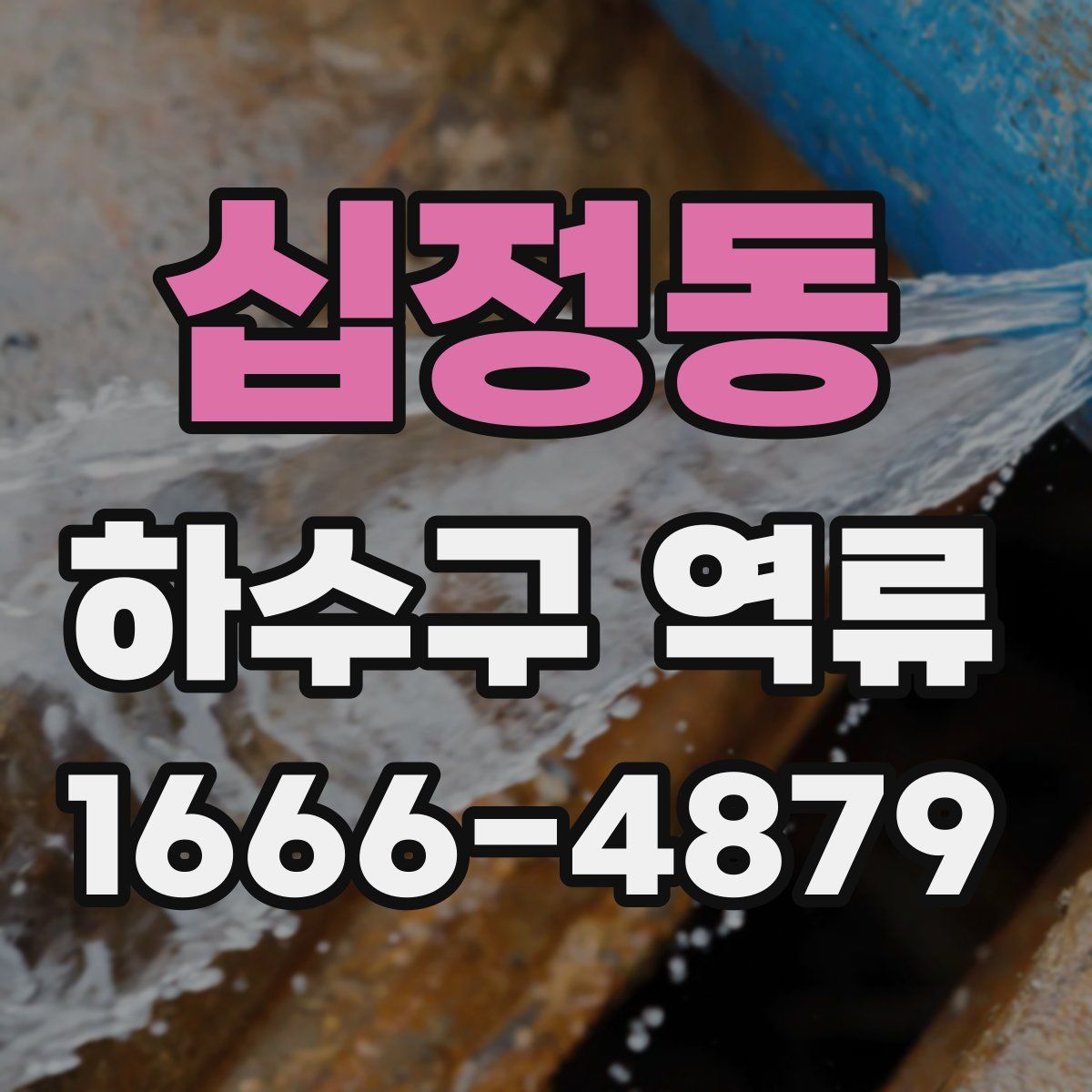 십정동 하수구 역류