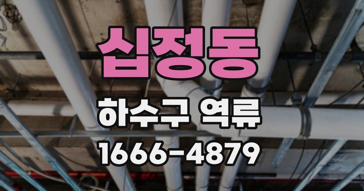십정동 하수구 역류