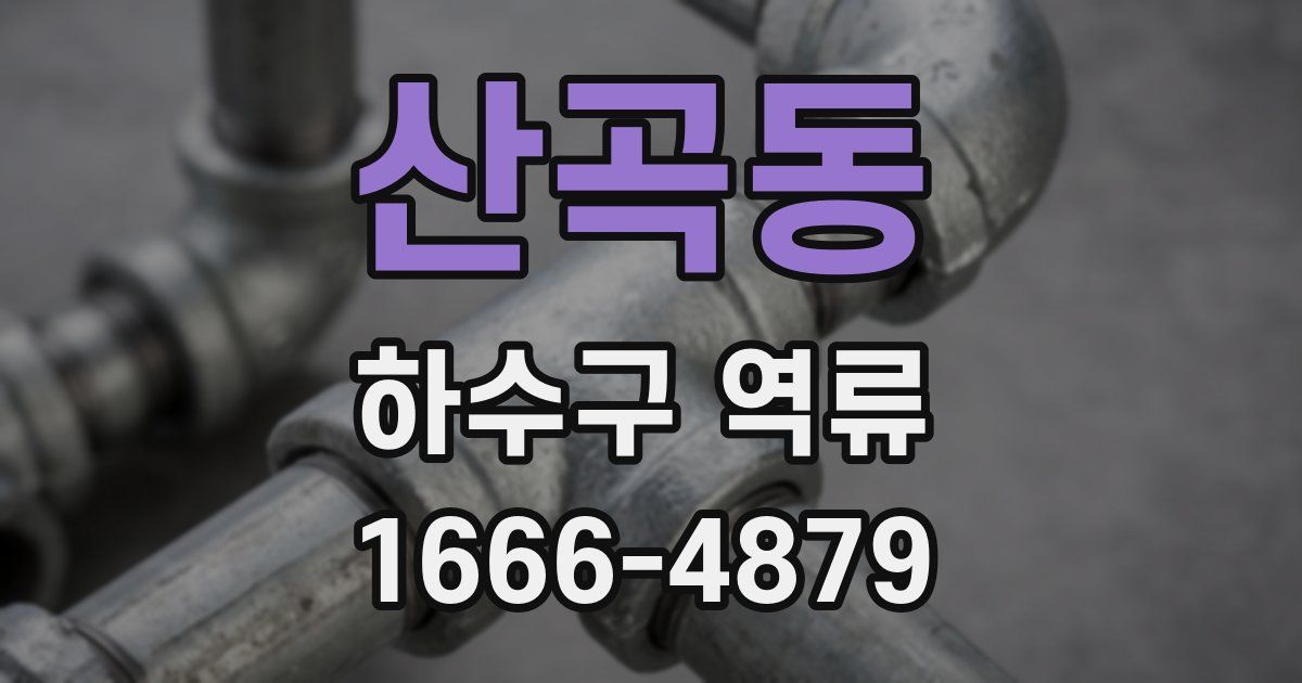 산곡동 하수구 역류