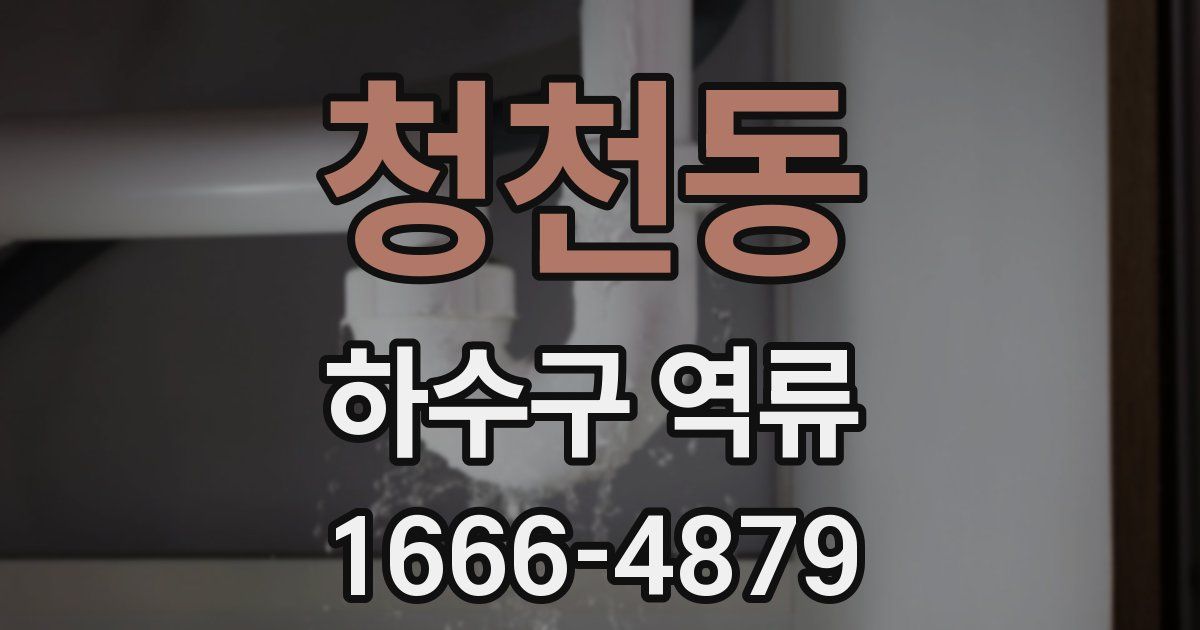청천동 하수구 역류